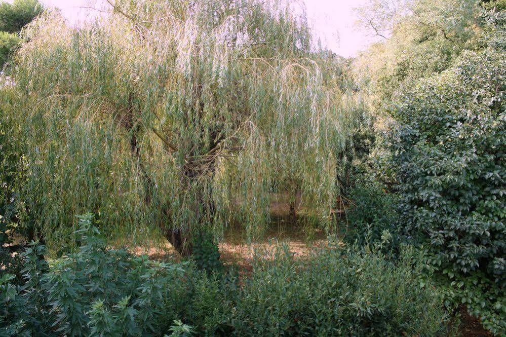 Appartement Aloa Carcassonne Eksteriør bilde